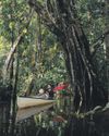 Plan the ultimate family getaway to Ecuador8