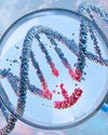 How to become a big budget biohacker on a London living wage15