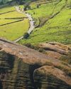 Buxton6