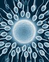 ON THE ATTACK: THE SPERM DONORS PREYING ON LONDON'S WOMEN ON THE ATTACK: THE SPERM DONORS PREYING ON LONDON'S WOMEN2