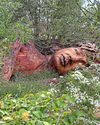 What's growing at Chelsea Flower Show? Signs of British inequality What's growing at Chelsea Flower Show? Signs of British inequality5