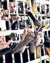 Delhi's prisons severely overcrowded: Study26