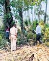 7-year-old tribal girl raped; one arrested3