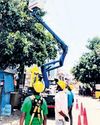 TPCODL's uninterrupted power for Rath Yatra48