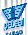 Celebi moves HC over 'vague' clearance pullout49