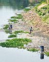 Yamuna water fails to meet quality standards28