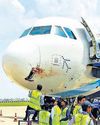 Close shave for 175 after IndiGo flight hit by vulture8