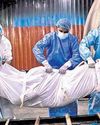 86.5 lakh deaths in 2022, 15 pc dip over Covid-hit 2021: CRS data45