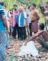 Tusker tramples woman to death19