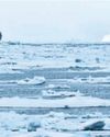 Mysterious black iceberg spotted off Labrador coast0