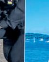India-origin man dies days after Oz police allegedly knelt on his neck34