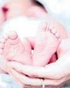 Newborn screening, early treatment can cut sickle cell deaths: ICMR40