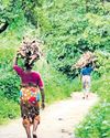 State's plans to ease forest, wildlife curbs for tourism boost 'dangerous'11