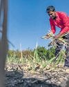 Where is farm loan waiver: Cong37