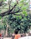 Kendrapara admin starts verification of suspected Bangladeshi infiltrators22