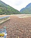 HP to probe accumulation of forest wood after cloudbursts29
