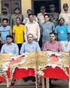 Sting op leads to arrest of 7 leopard skin smugglers21