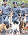 NDRF to soon commission cadaver dogs to assist in disaster ops34