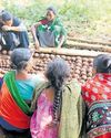 Tribal women aim to restore forests with seed balls24