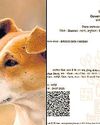 'Dog babu', son of ‘kutta babu', gets residence cert2