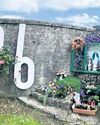 'Chamber of horrors' being exhumed at Ireland mass baby grave41