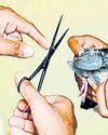 Chinese manjha menace persists in Delhi29