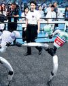 Robots race, play football, crash at ‘robot Olympics’53