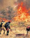 Global human exposure to wildfires up 40% in 20 yrs: Study44
