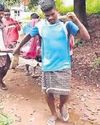Snakebite victim carried 3 km on cot to reach hosp Snakebite victim carried 3 km on cot to reach hosp21