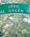 Illegal mining: NGT imposes fine on govt for non-submission of report13