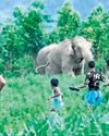 Human-elephant conflicts rise in TN's Coimbatore amid forest guards’ crunch28