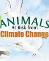 Warming temperatures can impact animals’ reproduction: Studies Warming temperatures can impact animals’ reproduction: Studies37