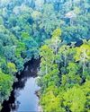 Tropical rainforests may warm the planet: Study37