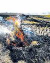 Punjab launches awareness camps in hotspots of paddy straw burning24