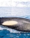 Nations ratify world's first treaty to protect int'l waters36