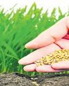 Seed industry seeks regulatory relief48