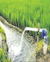Irrigation boost for 33,968 ha in Tatiguda area of Malkangiri17