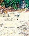 CM directs NHAI to restore traffic on Kalinga Ghat25