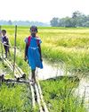 Orissa POST