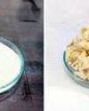 Odia scientist patents process to get chitosan from shrimp waste Orissa POST
