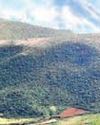 Tent ban in Deomali sparks livelihood crisis Tent ban in Deomali sparks livelihood crisis24