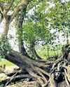 This day that year: Victims of ’99 super cyclone revisit fateful day9