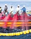 Centre notifies new deep-sea fishing rules50