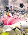 'Dangerously high' toxins in Air India crash bodies repatriated to UK: Report 'Dangerously high' toxins in Air India crash bodies repatriated to UK: Report47
