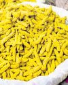 Maha turmeric farmer becomes entrepreneur32