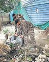 Cleanliness drive to combat pollution26