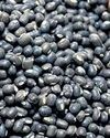 NAFED to open 50 urad procurement centres27