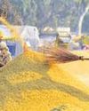 J'khand launches paddy procurement exercise J'khand launches paddy procurement exercise24