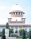Court will always lean towards animals who suffer silently: SC41