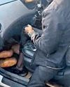 24 kg ganja seized from hidden chambers in car19